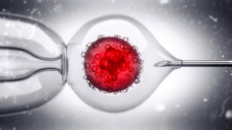 1,112 Test Tube Baby Stock Videos and Royalty-Free Footage - iStock | Test tube baby poster, First test tube baby 1,112 Test Tube Baby Stock Videos and Royalty-Free Footage - iStock | Test tube baby poster, First test tube baby
