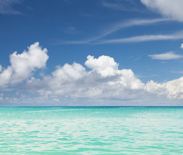 istock Summer tropical sea and blue sky 1131975641