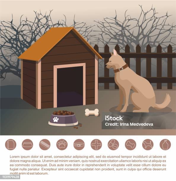Dog Sitting Next To The Kennel In The Yard Pets Accessories Stock Illustration - Download Image Now