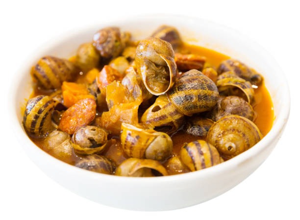 Homemade stewed escargots with chorizo