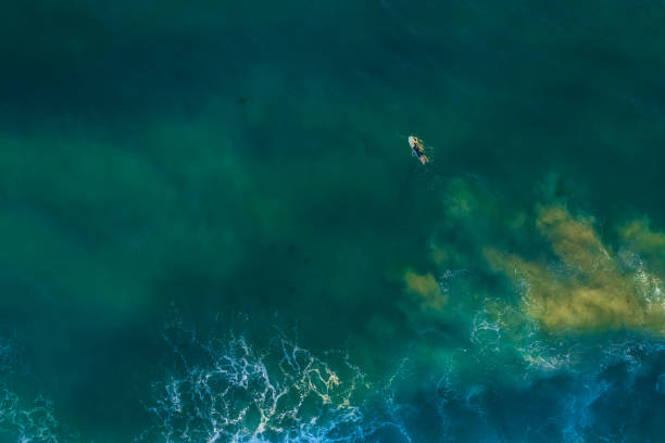 istock Lonely surfer lying on surfboard in vast ocean - aerial view with copy space 1131985363