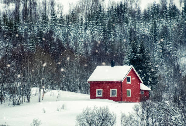 red house with snowing in pine forest - cabin imagens e fotografias de stock