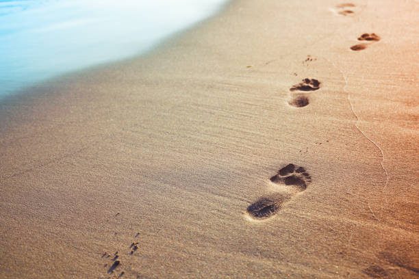 istock Footprints of bare feet on wet sand 1131989277