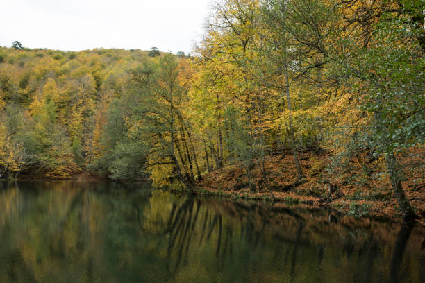 istock Reflection on lake at the Yedigoller National Park 1131991140