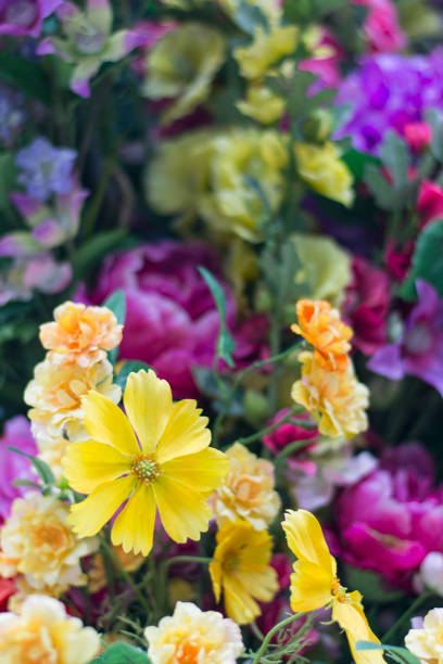 Colorful flowers in Hyde Park, London