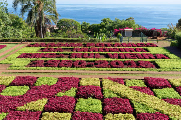 istock View over Jardim Botanico garden on Madeira island 1131994653