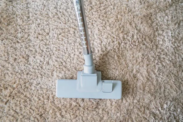Top view of a modern vacuum cleaner being used while vacuuming white carpet