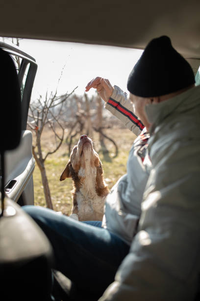 istock Hungry dog and a man 1132006398