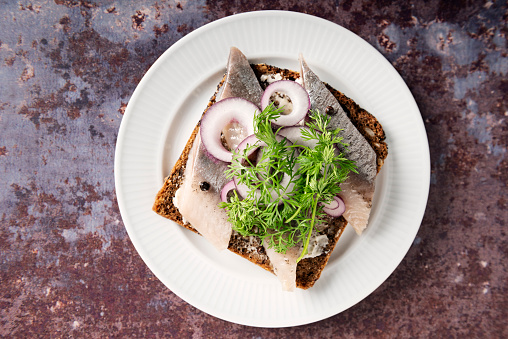 Traditional danish “smørrebrød” or open sandwich made with a slice of buttered rye bread, marinated herring, onion and dill. Colour, horizontal with some copy space.