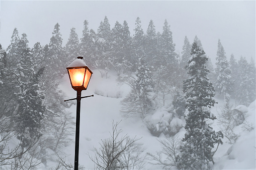Street light in a winter scenery, surrounded by nature and foggy forest in background.