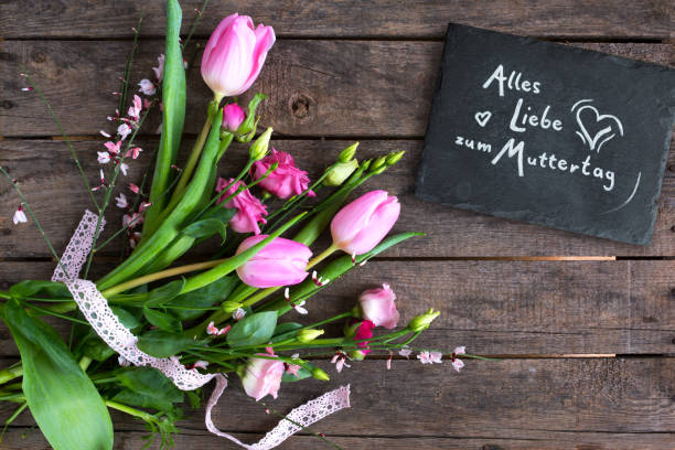 cumprimentos florais para o dia de matrizes - rose mothers day flower pink - fotografias e filmes do acervo