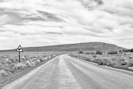 Road landscape in the Tankwa Karoo in the Northern Cape Province. A warning sign is visible. Monochrome