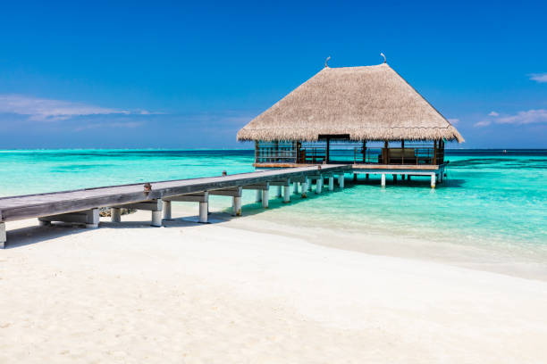 istock Wooden jetty on blue ocean in Maldives. 1132015897