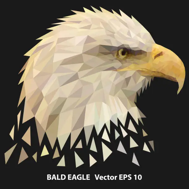 Vector illustration of Low poly bald eagle head,  poligonal illustration