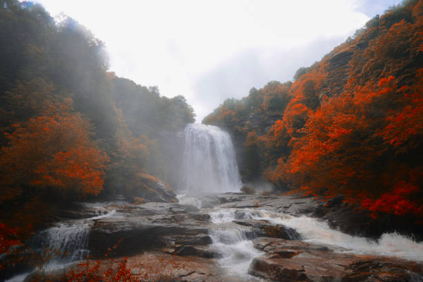istock Suuctu Waterfalls in the forest in the Autumn 1132019537