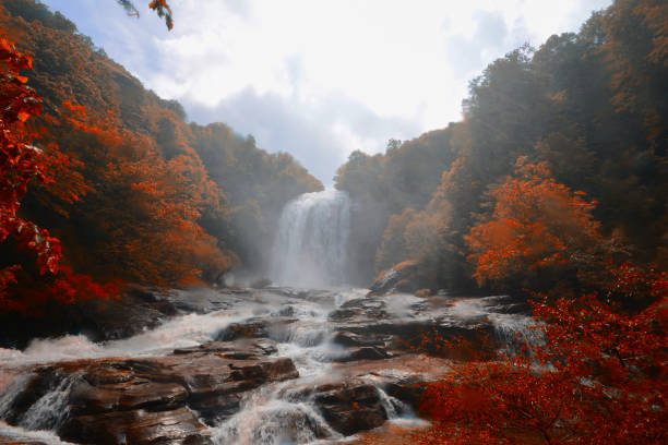 istock Suuctu Waterfalls in the forest in the Autumn 1132021609