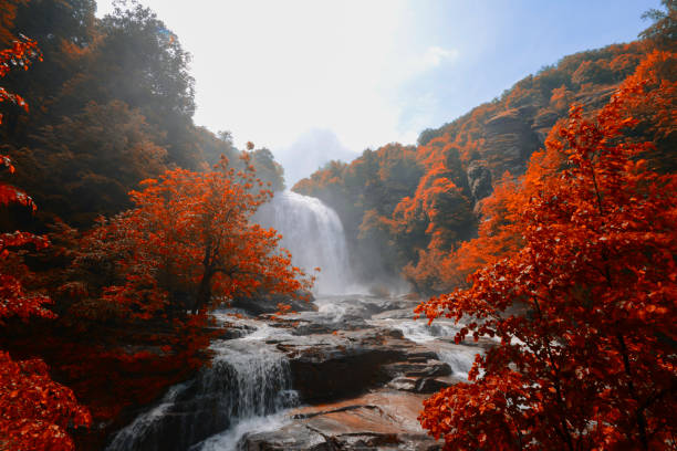 istock Suuctu Waterfalls in the forest in the Autumn 1132022094