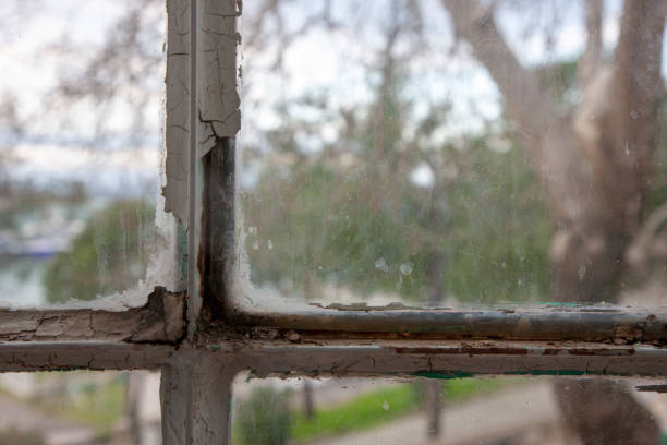istock From Dirty window to garden view 1132022132