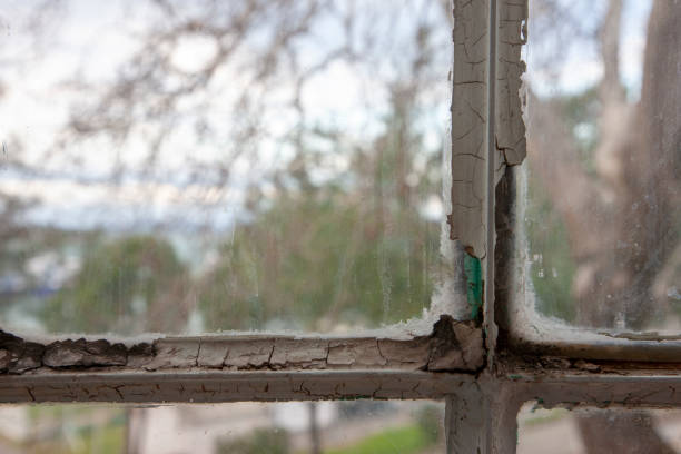 istock From Dirty window to garden view 1132022137