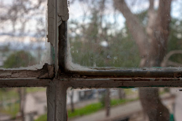 istock From Dirty window to garden view 1132022141