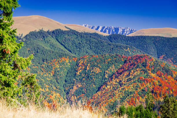 istock Carpathian Mountains, autumn, Romania 1132022367