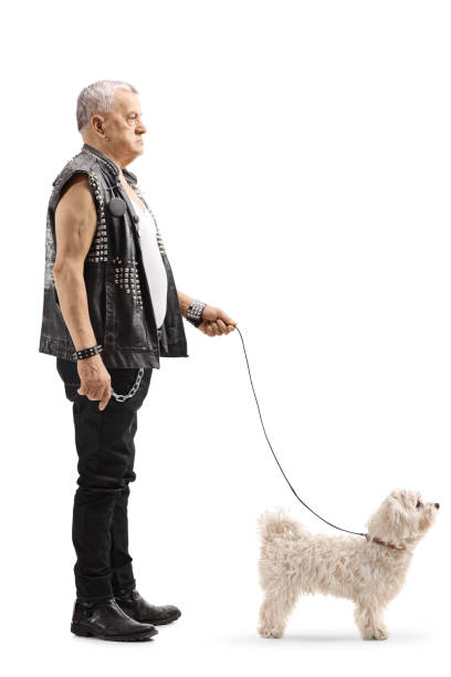 istock Mature punker standing with a little white dog 1132022901