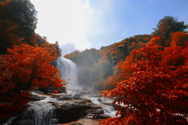 istock Suuctu Waterfalls in the forest in the Autumn 1132022902