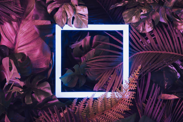 istock Creative fluorescent color layout made of tropical leaves with neon light square. 1132024305