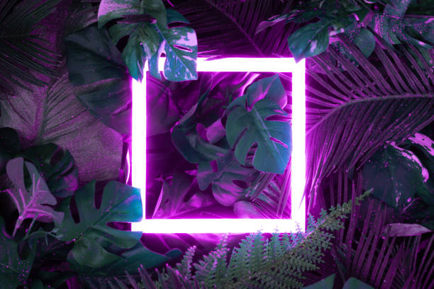 istock Creative fluorescent color layout made of tropical leaves with neon light square. 1132024312