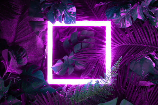 istock Creative fluorescent color layout made of tropical leaves with neon light square. 1132024377