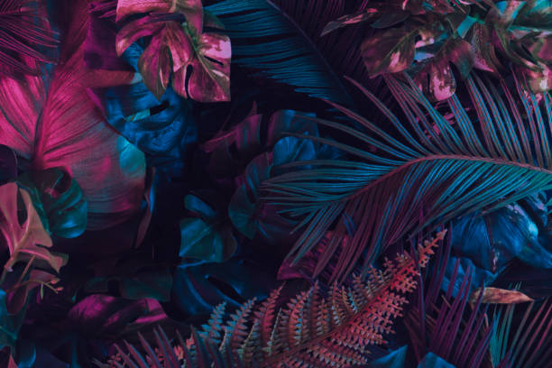 creatieve fluorescerende kleur lay-out gemaakt van tropische bladeren. - weelderige plantengroei fotos stockfoto's en -beelden