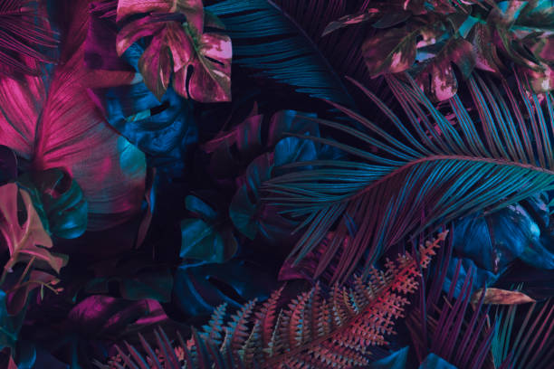 Creative fluorescent color layout made of tropical leaves.