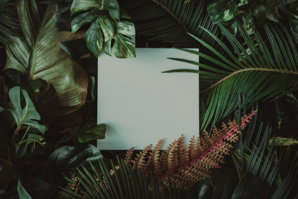 istock Creative layout made of tropical leaves with paper card note. 1132025280