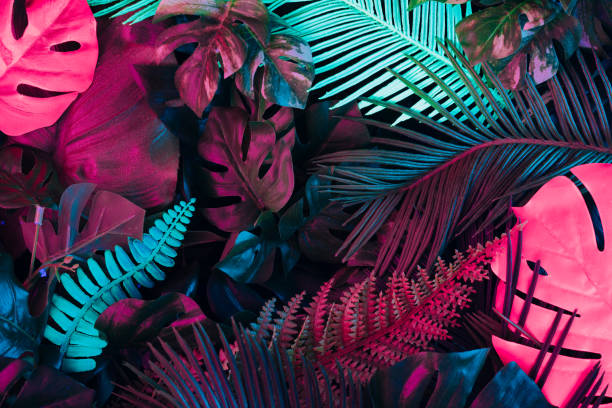 istock Creative fluorescent color layout made of tropical leaves. 1132025511