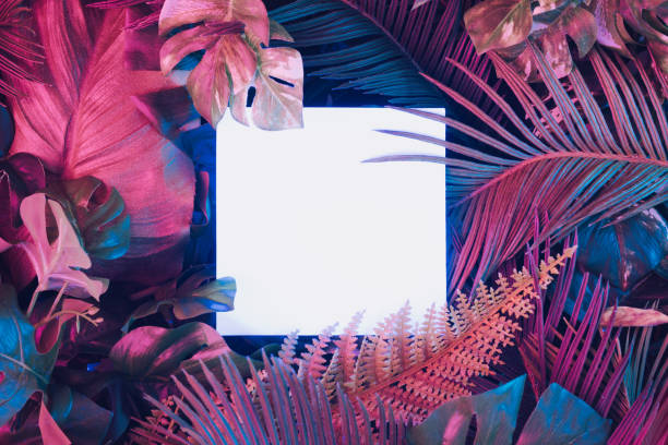 istock Creative fluorescent color layout made of tropical leaves with neon light square. 1132025647