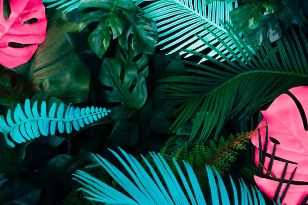 istock Creative fluorescent color layout made of tropical leaves. 1132025648