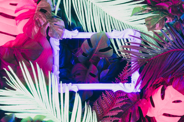 istock Creative fluorescent color layout made of tropical leaves with neon light vintage frame. 1132025777