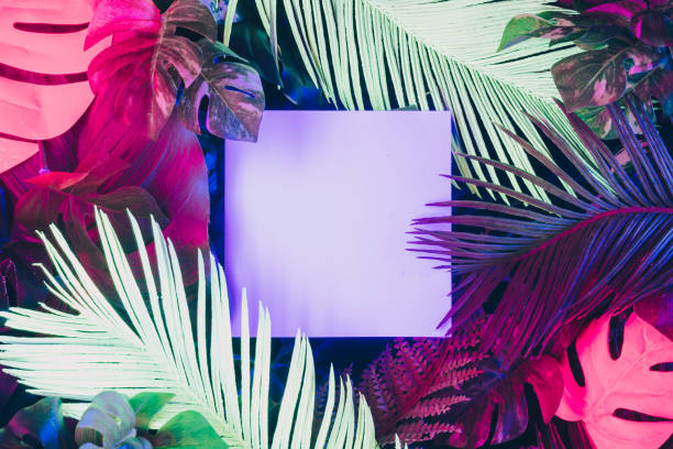 istock Creative fluorescent color layout made of tropical leaves with neon light square. 1132025969