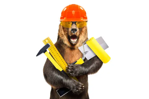 Photo of Portrait of a bear in a construction helmet with tools in hand isolated on white background