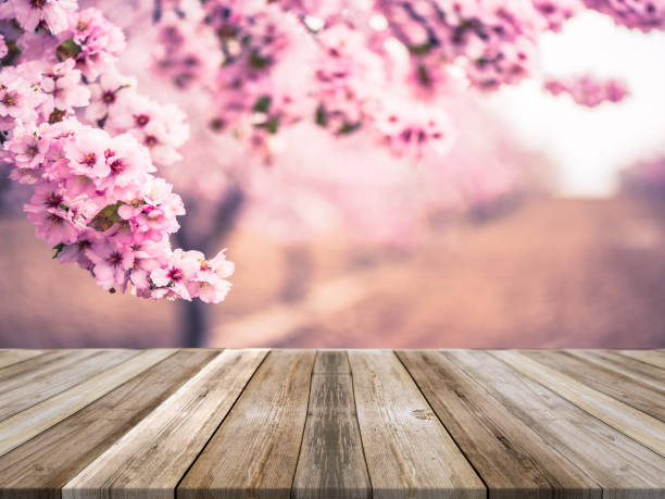 istock Spring blooming trees,wooden board empty table, product mock up display 1132028101