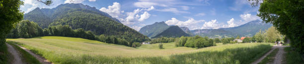 istock Panoramic idyll: Grass and meadow, mountains and blue sky. Bad Reichenhall, Bavaria, Germany 1132031043
