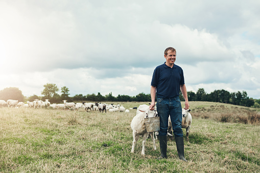 Shot of a cheerful young male farmer feeding his sheep outside on his land during the day