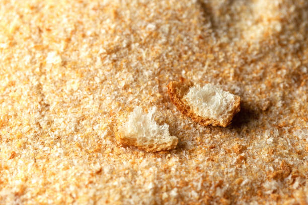 fundo textured das migalhas de pão - bread crumbs - fotografias e filmes do acervo