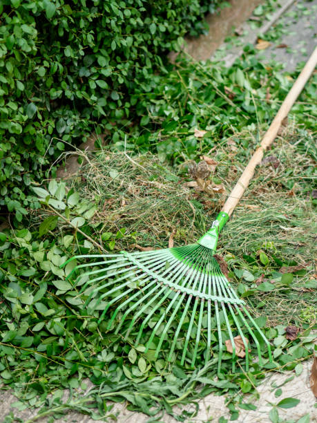 istock green leaves with rake,Rake, Leaves on Grass in Garden 1132038708