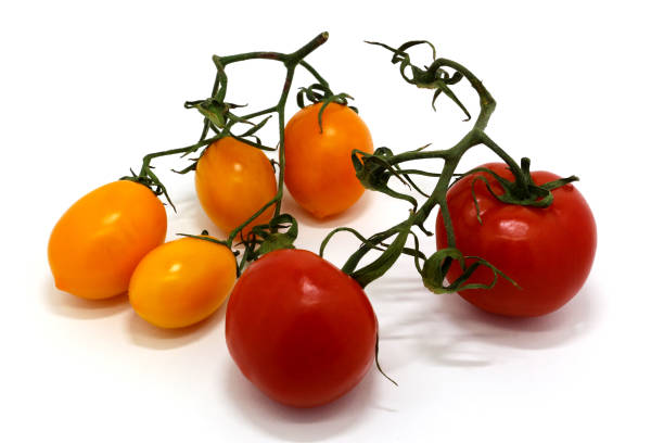 istock yellow and red tomatoes on white isolated background 1132043947