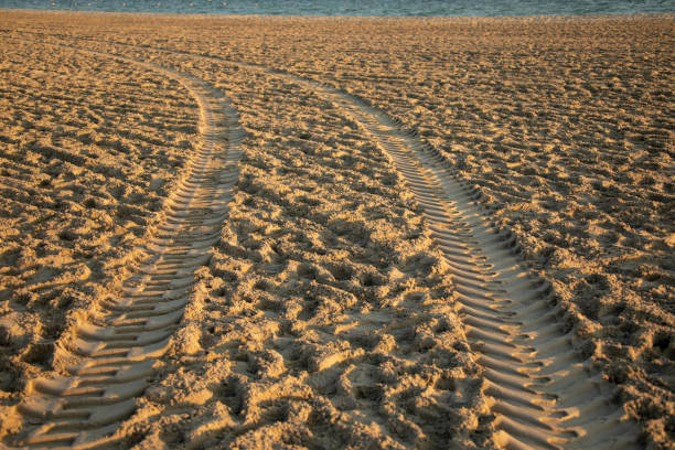 istock Tracks on the golden sand 1132044968