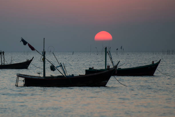 a sunset with fishing boats at the Bang Saen Beach at the Town of Bangsaen in the Provinz Chonburi in Thailand.  Thailand, Bangsaen, November, 2018