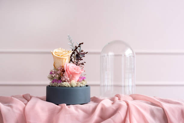 istock Long-lasting roses in a glass dome 1132045586