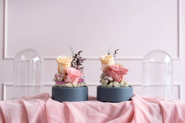istock Long-lasting roses in a glass dome 1132045745