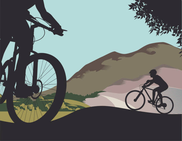 горные велосипеды - mountain biking mountain bike bicycle cycling stock illustrations